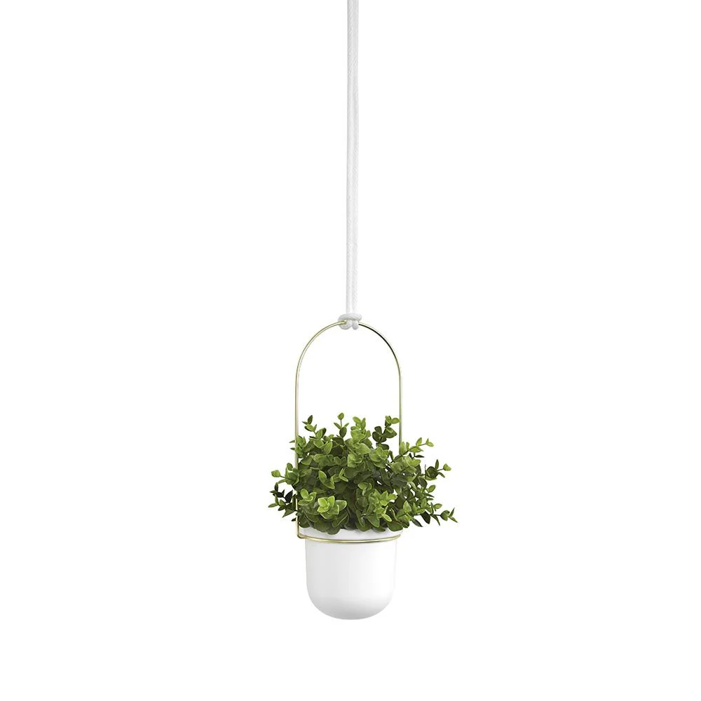 מעמדי עציצים Triflora נתלים לבן - Image 6