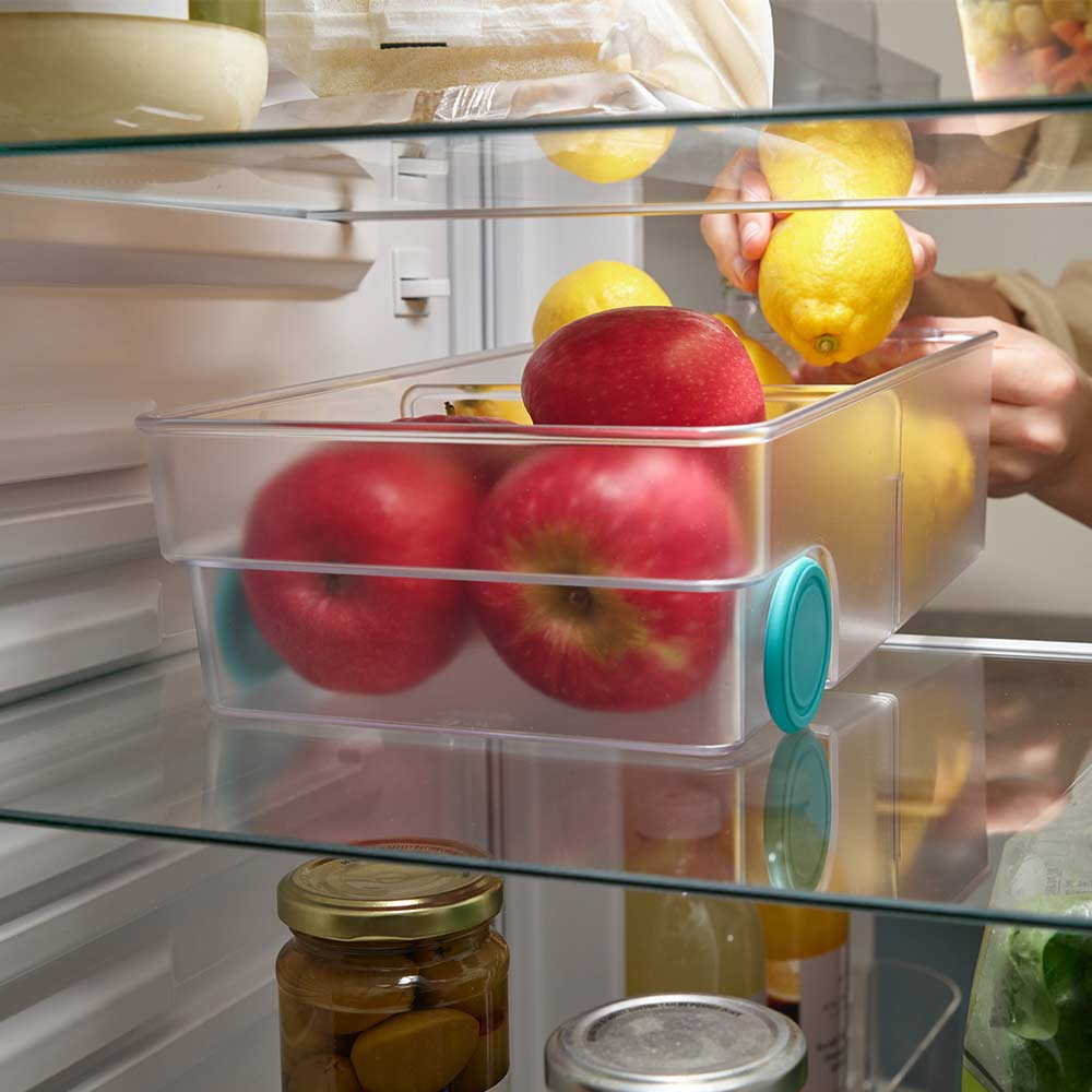 קופסת אחסון גדולה FridgeStore - Image 3