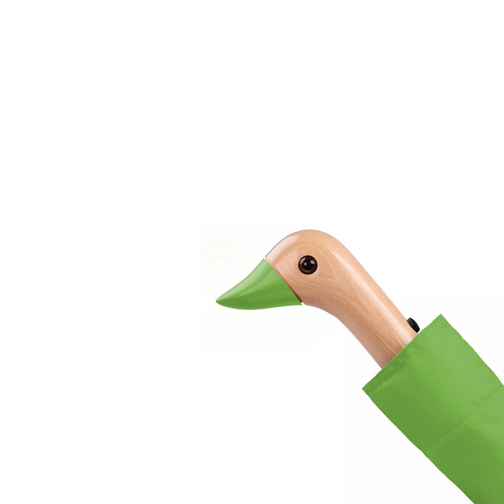 מטריה Duck ירוקה - Image 4