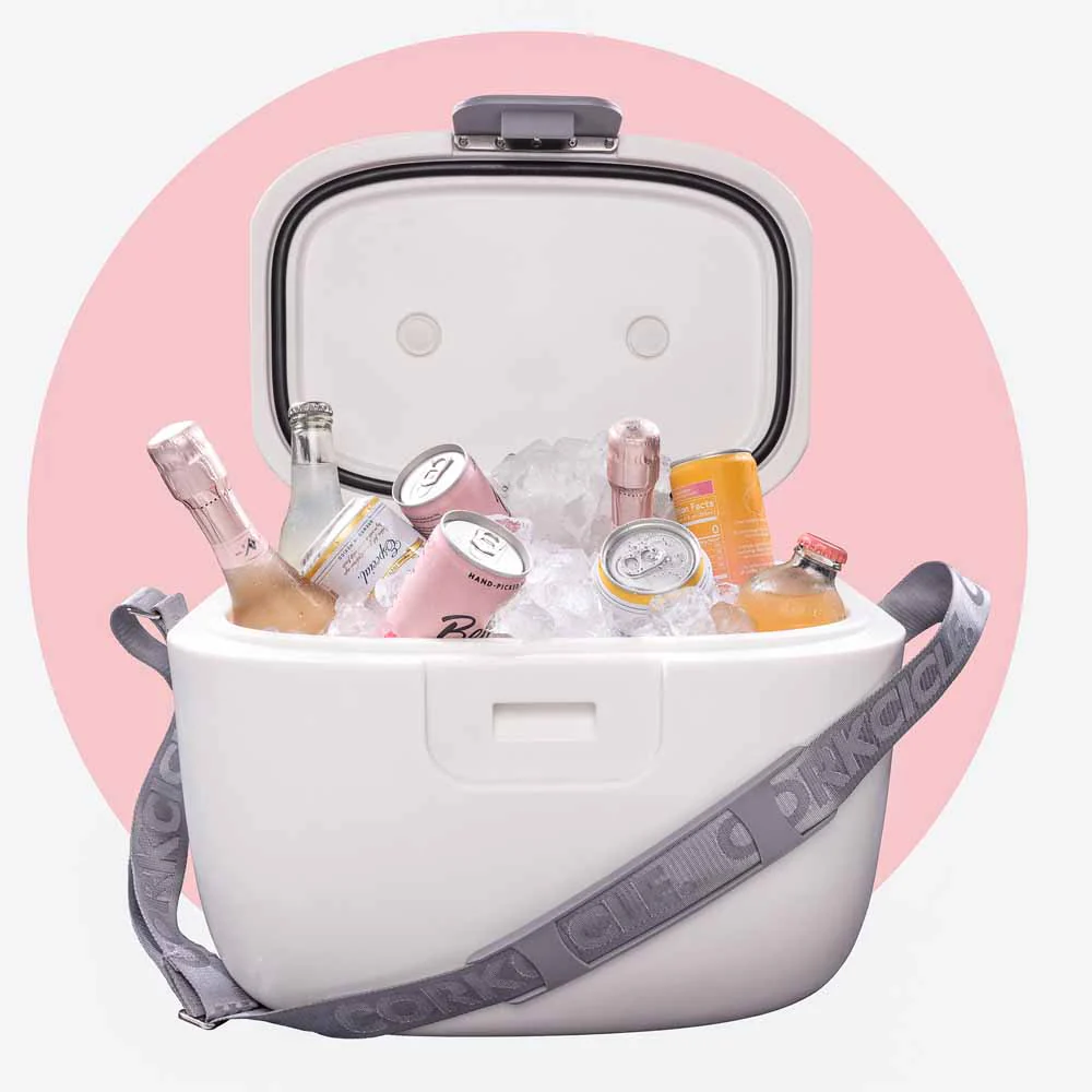 צידנית קשיחה Chillpod GO 12.3L לבן - Image 2