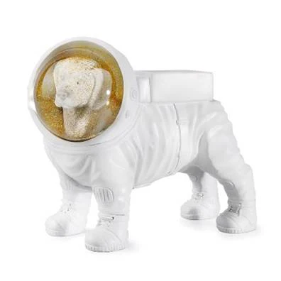 אסטרודוג כדור שלג
