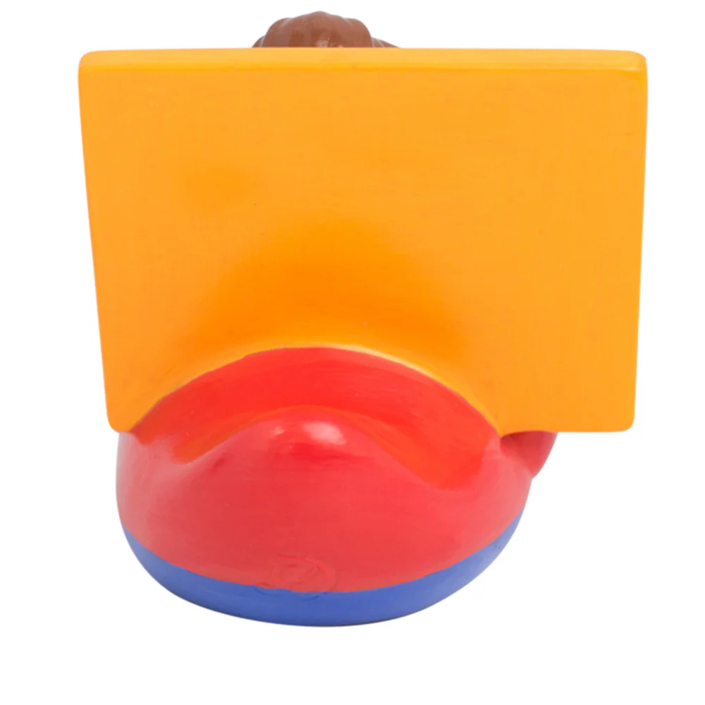 ברווז מורה - Image 3