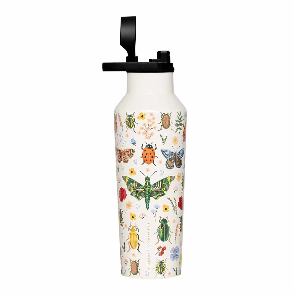 בקבוק מתכת Sport Canteen 590ML חיפושיות ופרפרים - Image 2