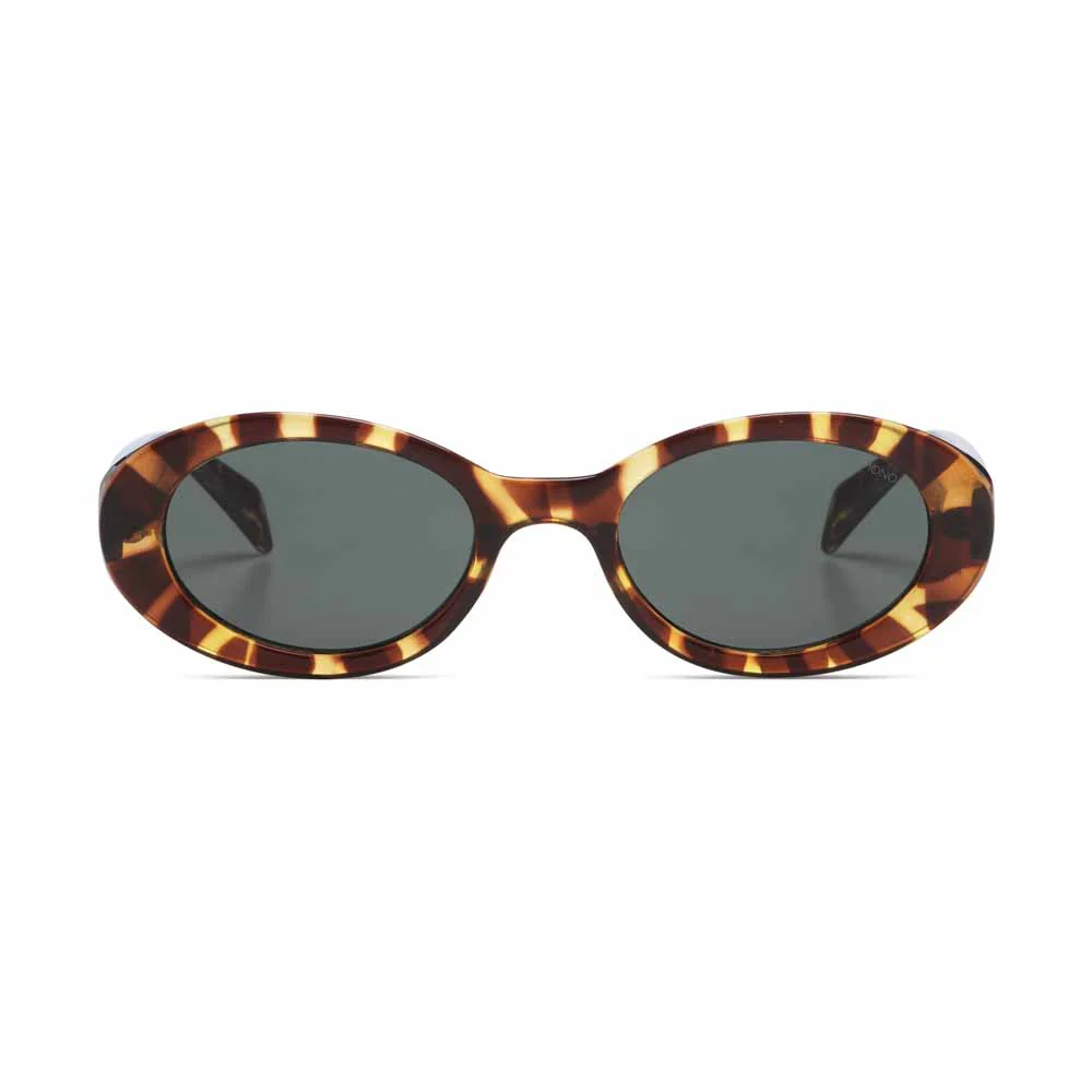 משקפי שמש Ana Tortoise