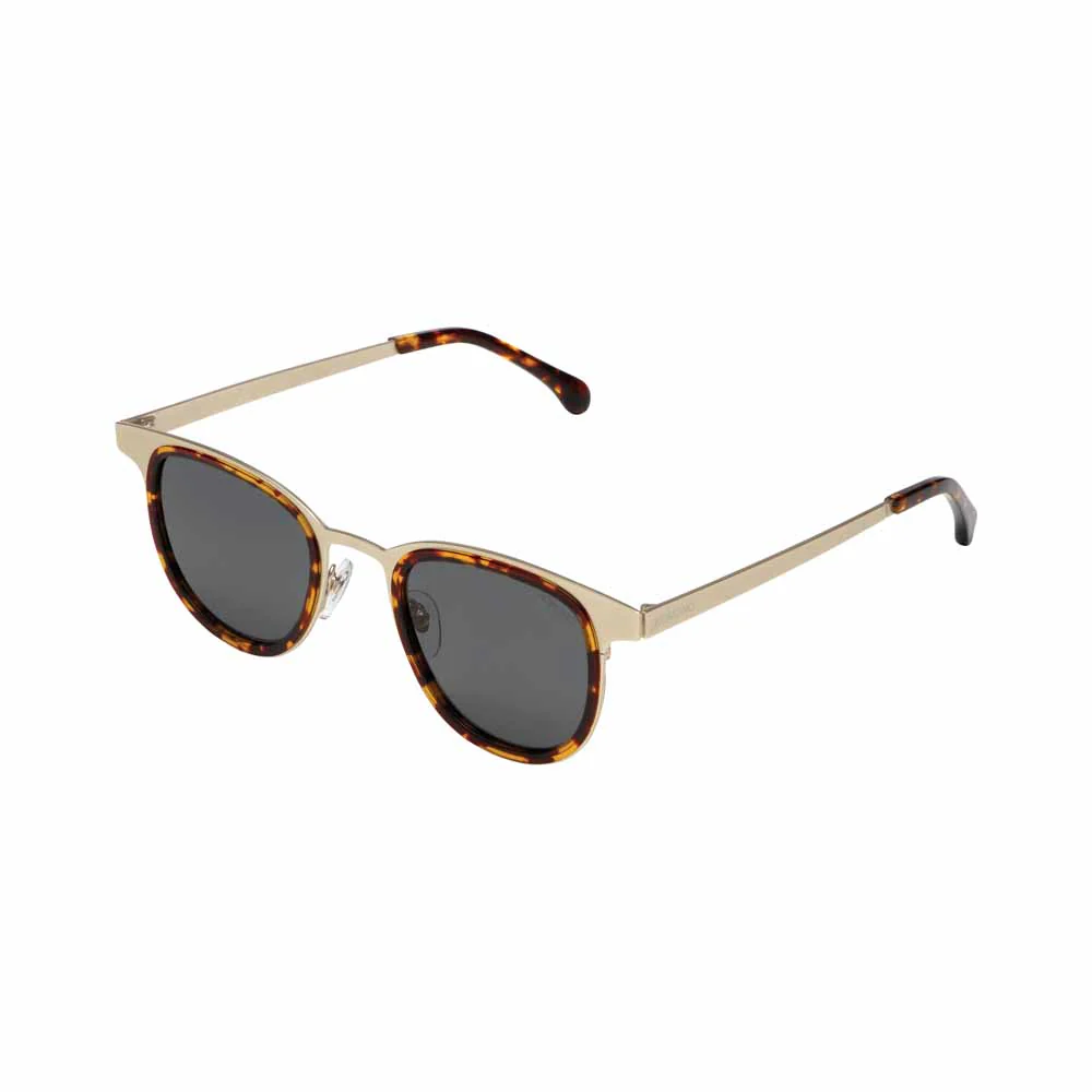 משקפי שמש Francis Steel Gold Havana - Image 4