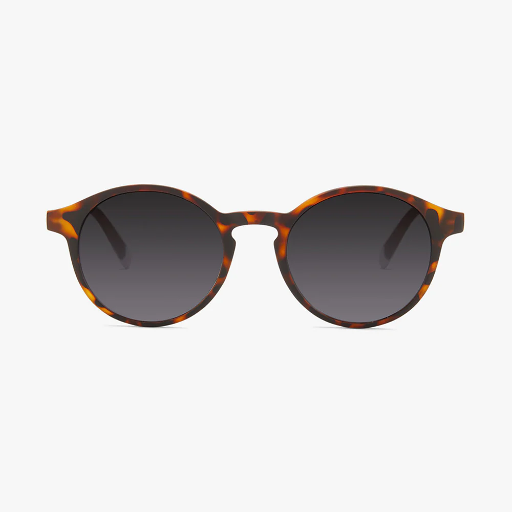משקפי שמש Le Marais Tortoise (מט)